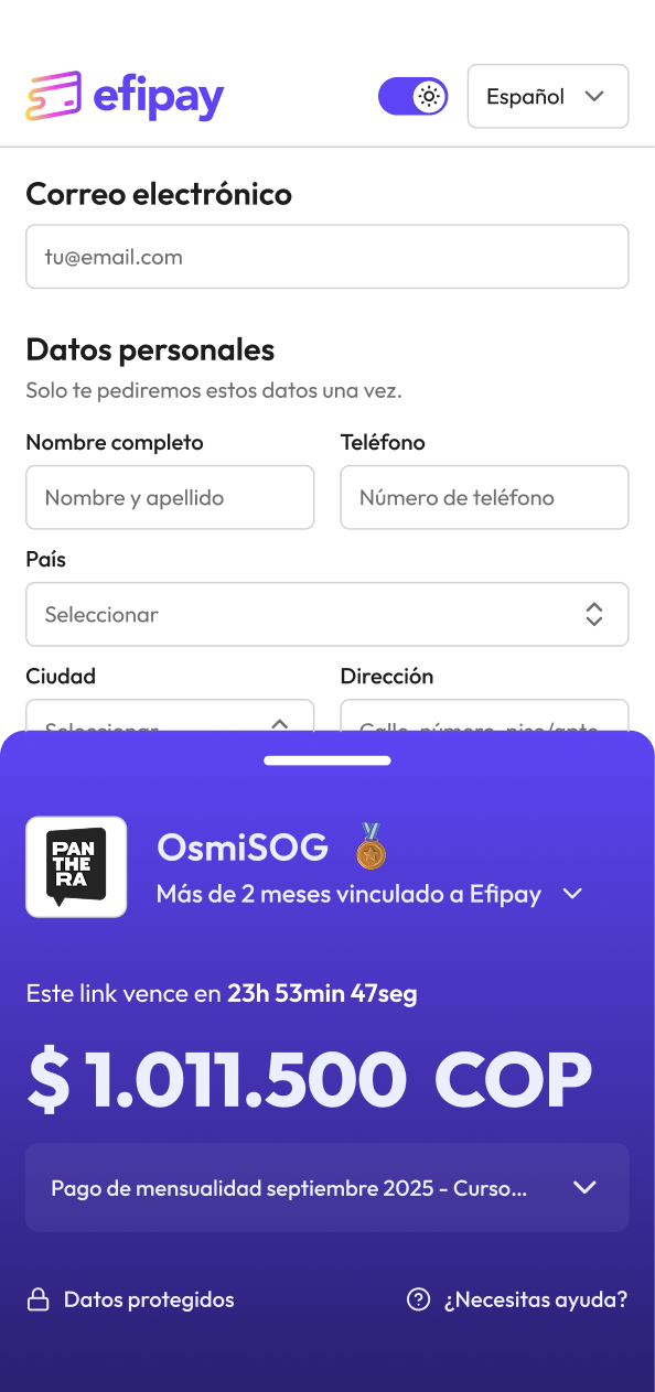 Vista de producto — Efipay checkout